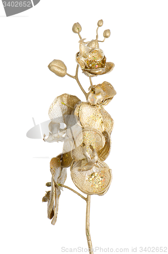 Image of Golden Christmas decoration