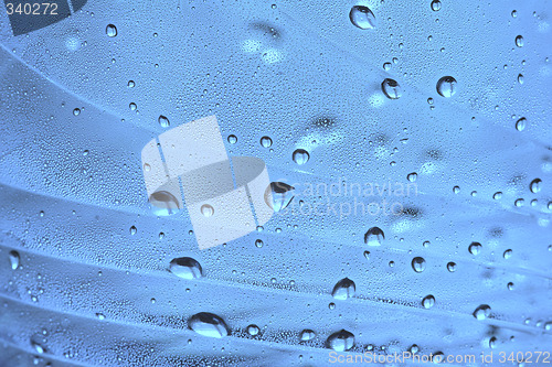 Image of water drops