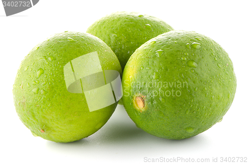 Image of Fresh green limes