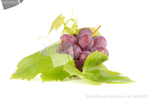 Image of Bunch of red grapes