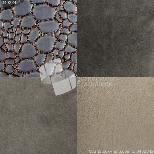 Image of Set of grey leather samples