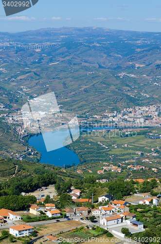 Image of vineyars in Douro Valley