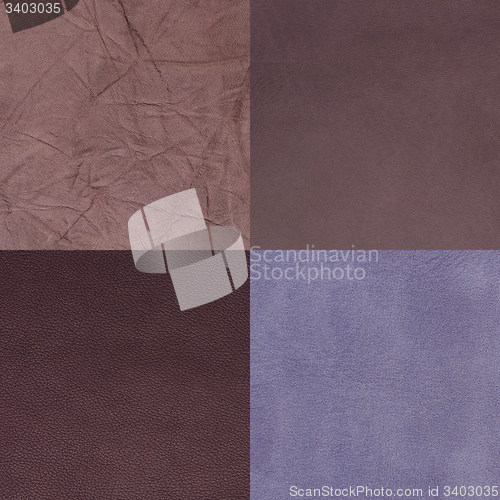 Image of Set of purple leather samples