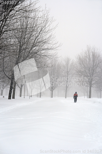 Image of Man walking in a snowy park