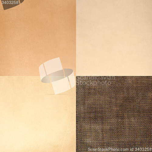 Image of Set of beige leather samples