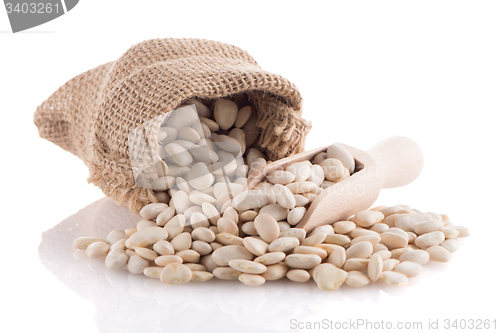 Image of White beans bag