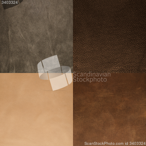 Image of Set of brown leather samples
