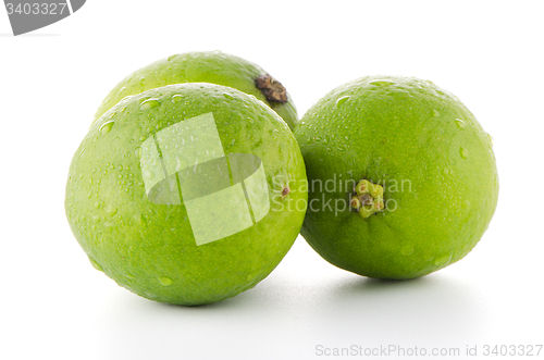 Image of Fresh green limes