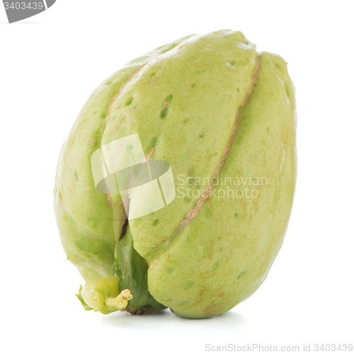 Image of Chayote