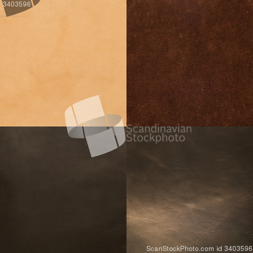 Image of Set of brown leather samples