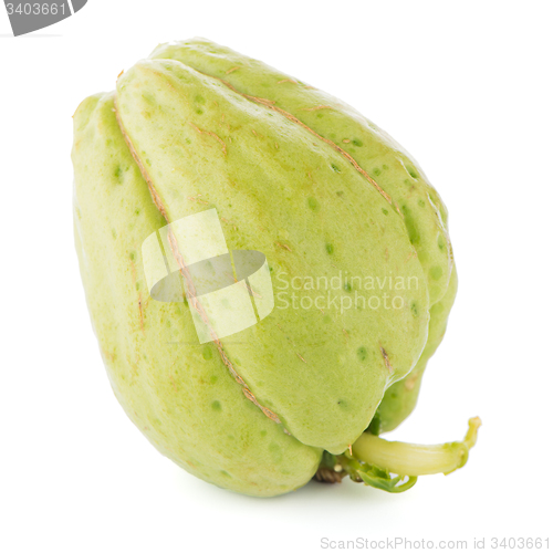 Image of Chayote