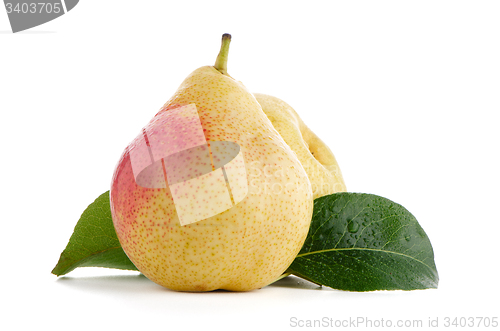 Image of Two ripe pears