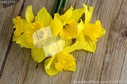 Image of Jonquil flowers