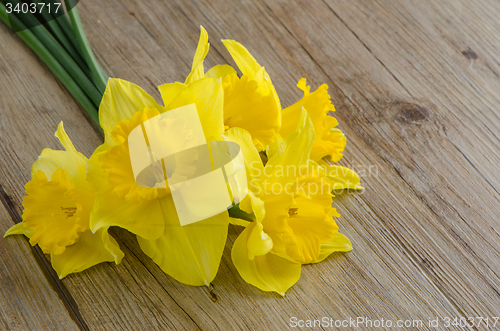 Image of Jonquil flowers