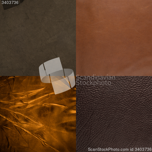 Image of Set of brown leather samples