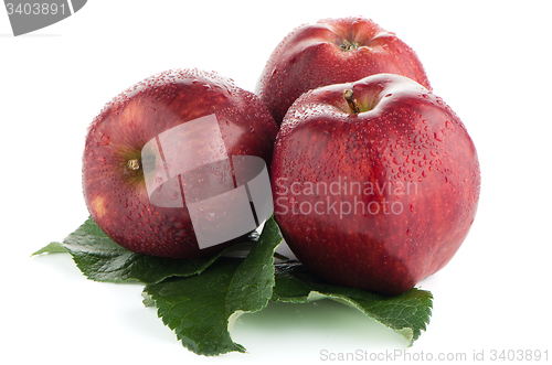 Image of Ripe red apples
