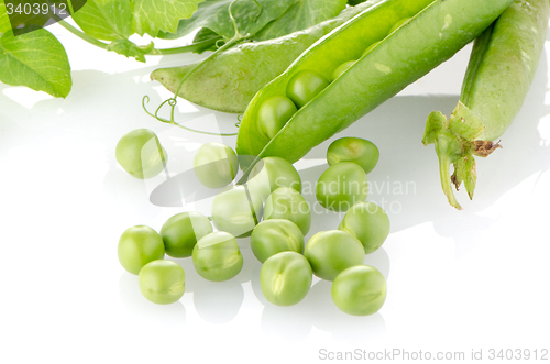 Image of Fresh green pea pod