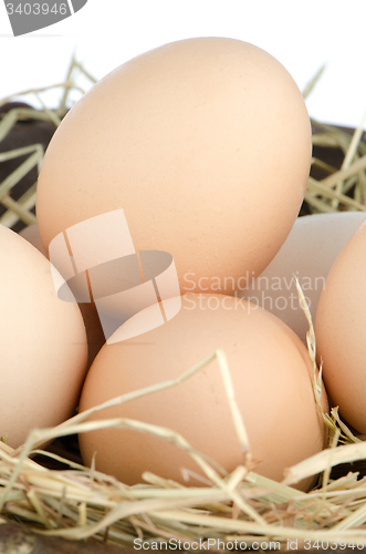 Image of Eggs closeup