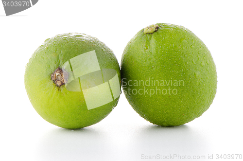 Image of Fresh green limes