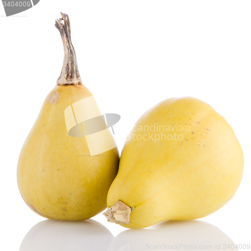 Image of Yellow pumpkins