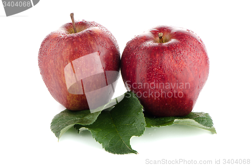 Image of Ripe red apples