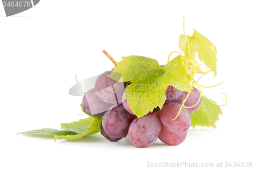 Image of Bunch of red grapes