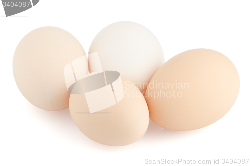 Image of Four eggs on white 