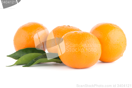 Image of Ripe tangerine or mandarin
