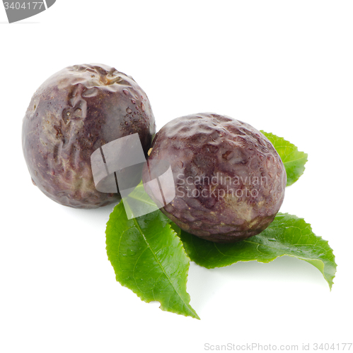 Image of Fresh passion fruit