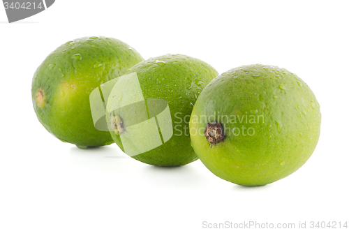 Image of Fresh green limes