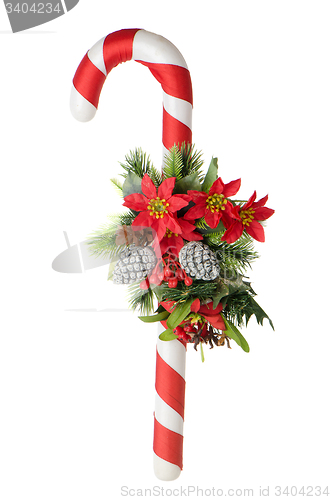 Image of Christmas cane