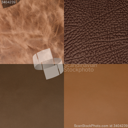 Image of Set of brown leather samples