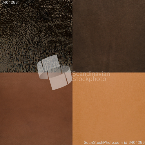 Image of Set of brown leather samples