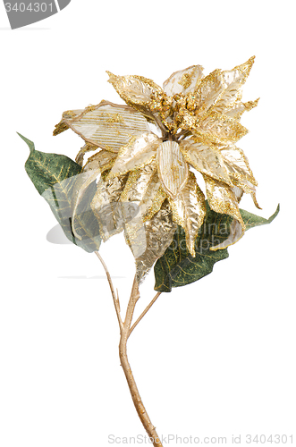 Image of White Christmas decoration