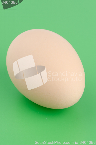 Image of Brown egg