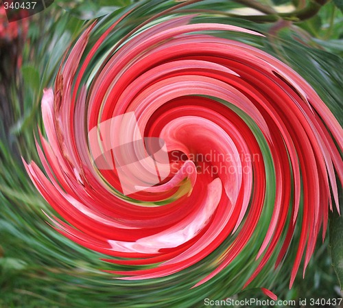 Image of spiral texture