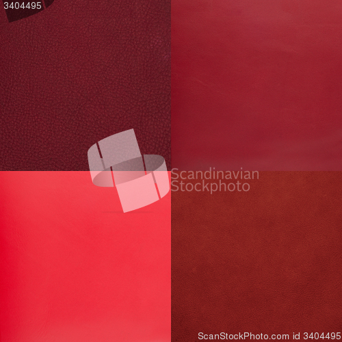 Image of Set of red leather samples