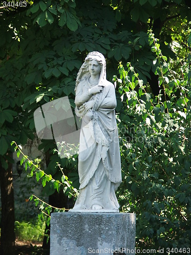 Image of Virgin