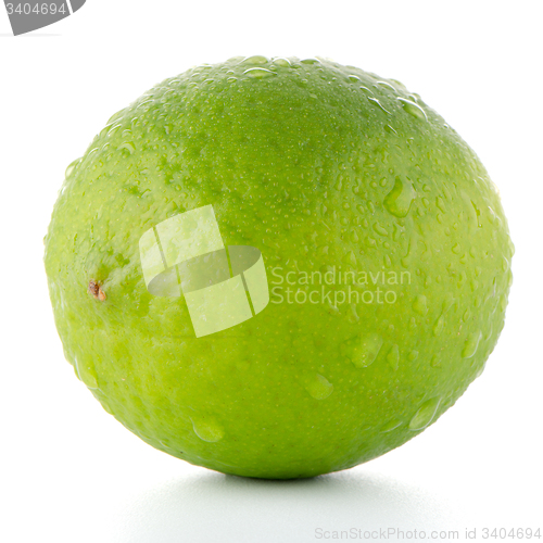 Image of Fresh green lime
