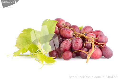 Image of Bunch of red grapes