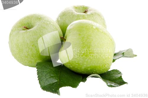 Image of Three fresh green apples