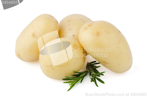 Image of New potato and green parsley