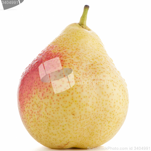 Image of Single ripe pear 