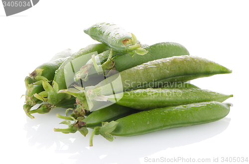 Image of Green beans