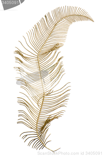Image of Christmas decorative golden leaves