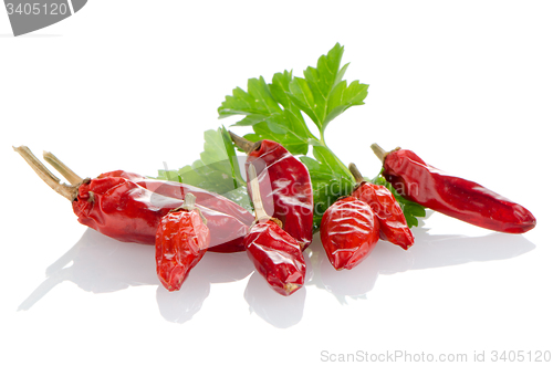 Image of Red chili or chilli pepper and parsley leaves