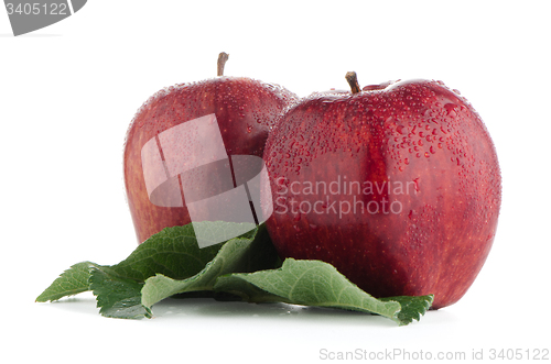 Image of Ripe red apples