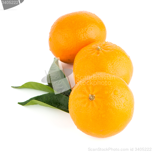 Image of Ripe tangerine or mandarin