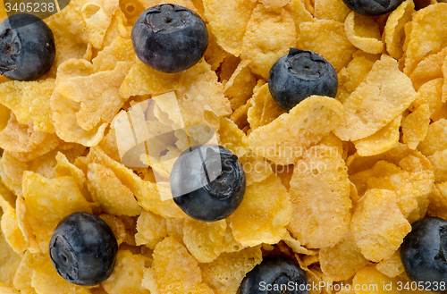 Image of Cereal and blueberries