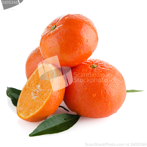 Image of Tangerines